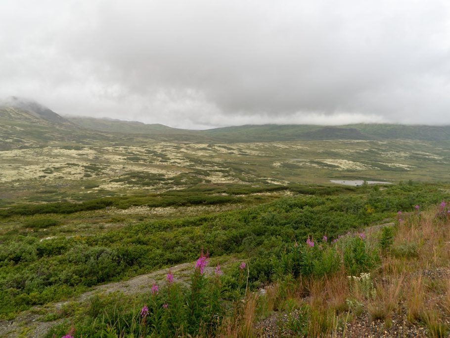 Hochplateau auf dem Chilkoot Pass