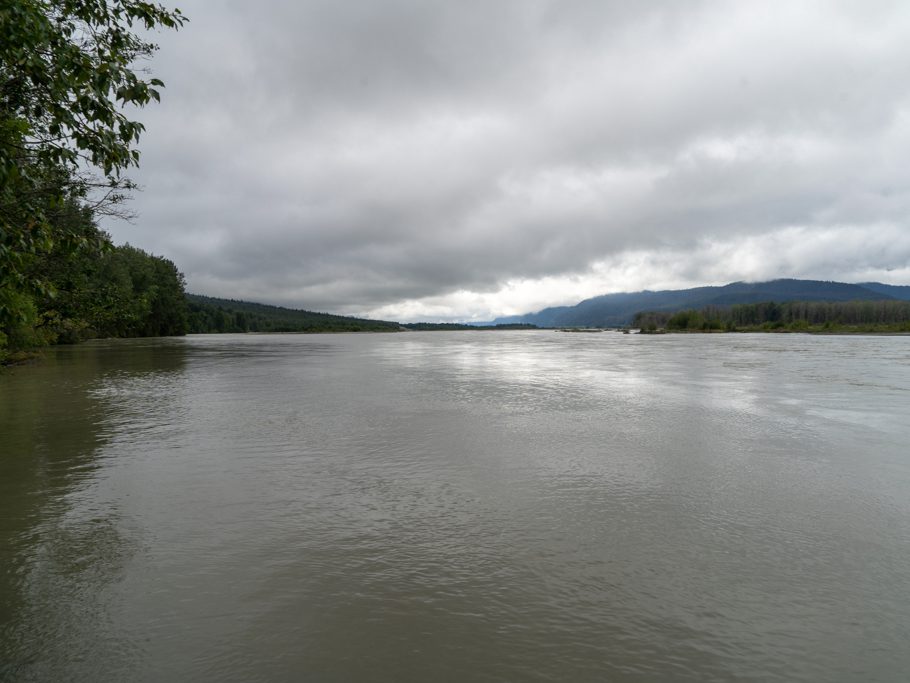 Der Chilkat River hat sehr viel Wasser!