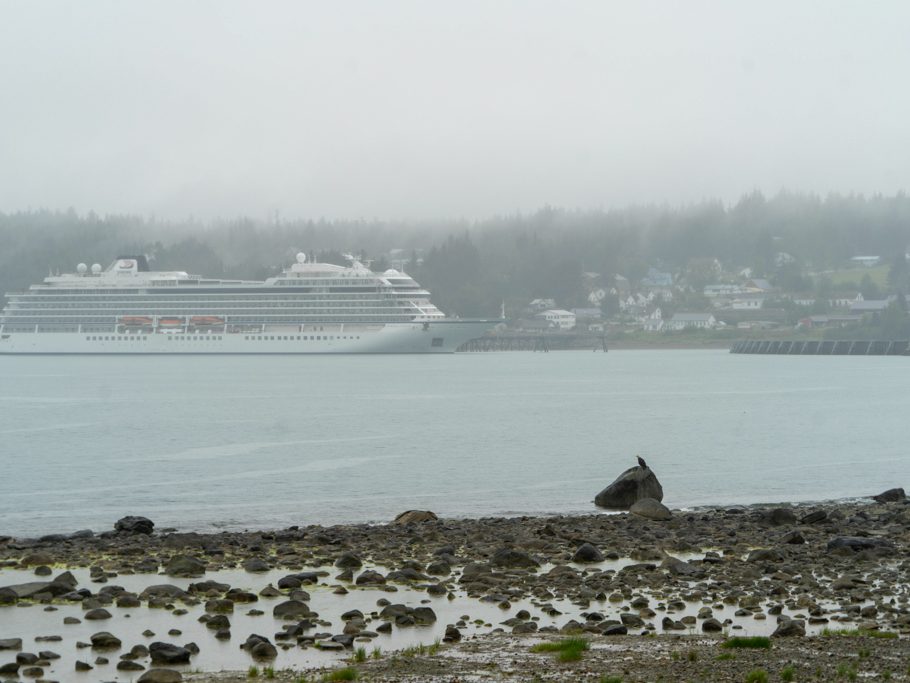 Ein Kreuzfahrtschiff hat in Haines angelegt. Im Vordergrund auf dem Fels ein Weisskopfseeadler.