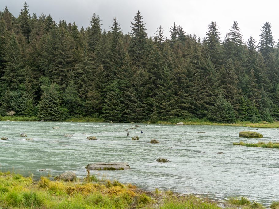 Lachs-Fischerinnen im Chilkoot River