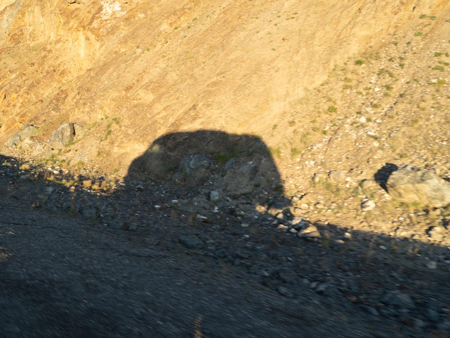 Schatten von Martha in der Morgensonne