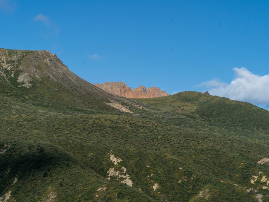 Aussicht von der Wanderung auf dem Sheep Creek Trail: grün bebuschte Hänge und rote Felsen im Hintergrund