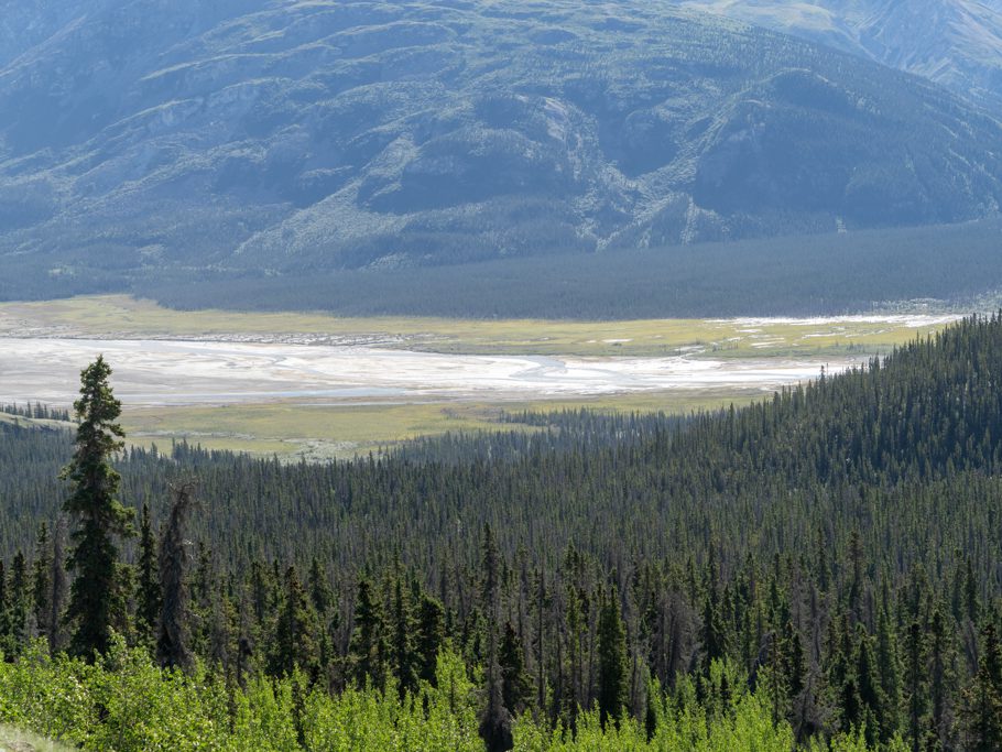 Aussicht von der Wanderung auf dem Sheep Creek Trail