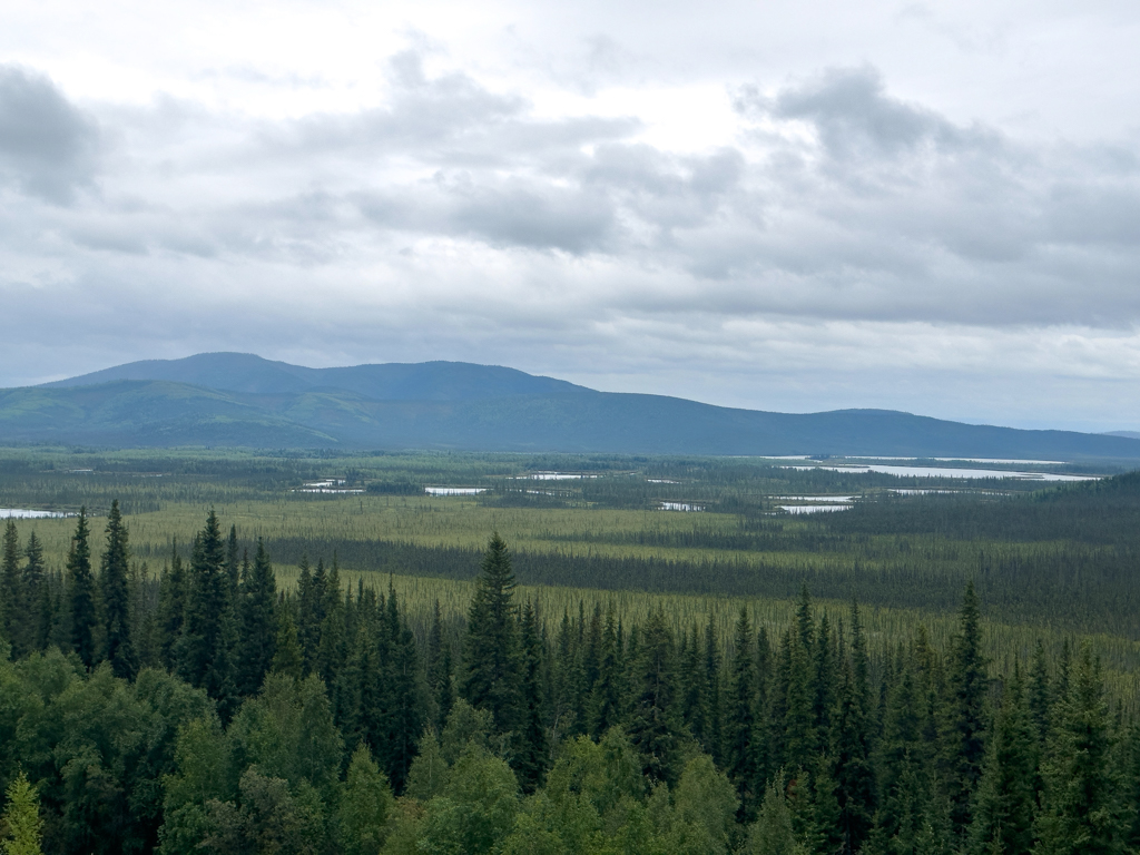 Aussicht vom Tetlin National Wildlife Refuge Visitor Center