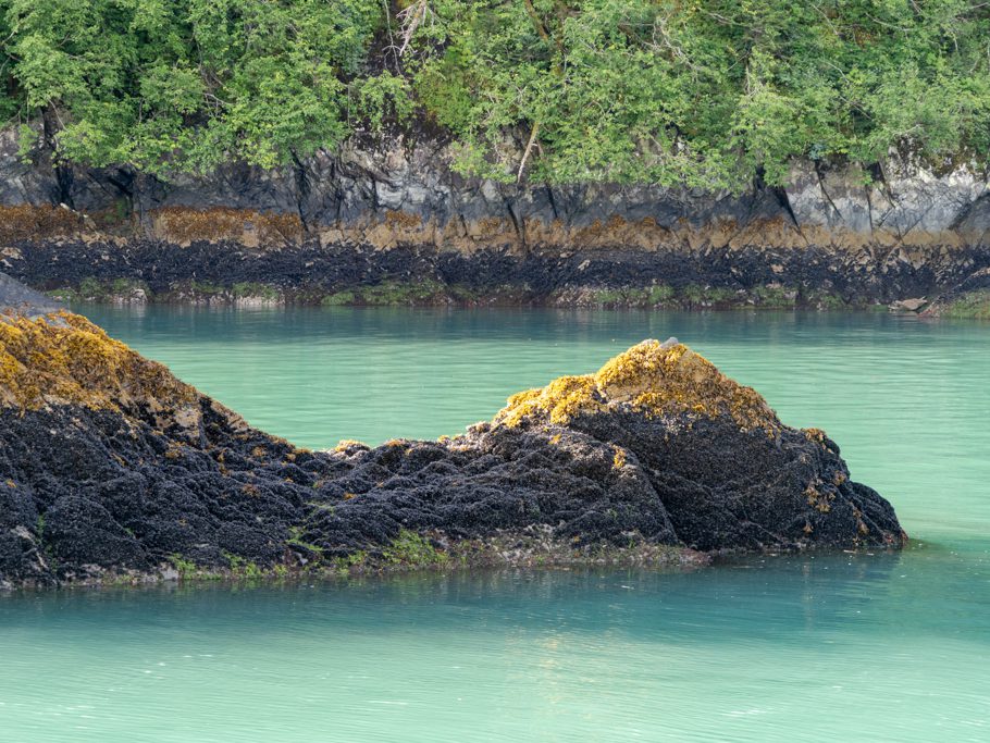Farbenspiel bei Ebbe an der Küste bei Valdez