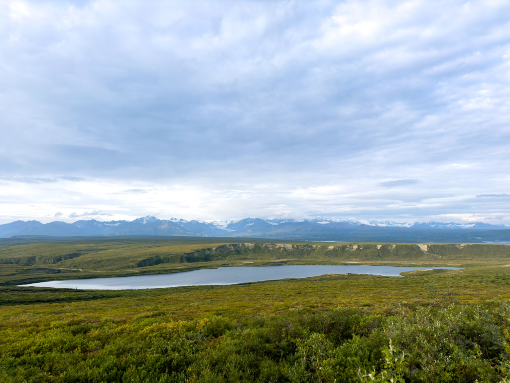 Auf unserem Übernachtungs Parkplatz auf dem Denali HW mit Bergpanorama