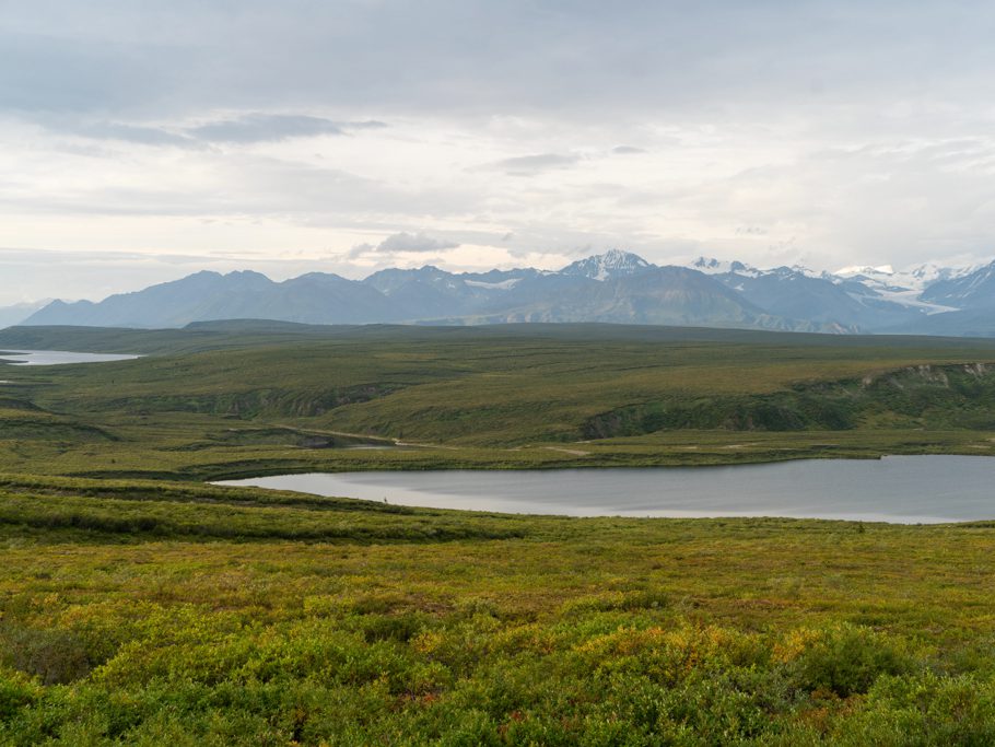 Auf dem Denali HW an unserem Rastplatz mit Blick auf die umliegenden Denali Berge