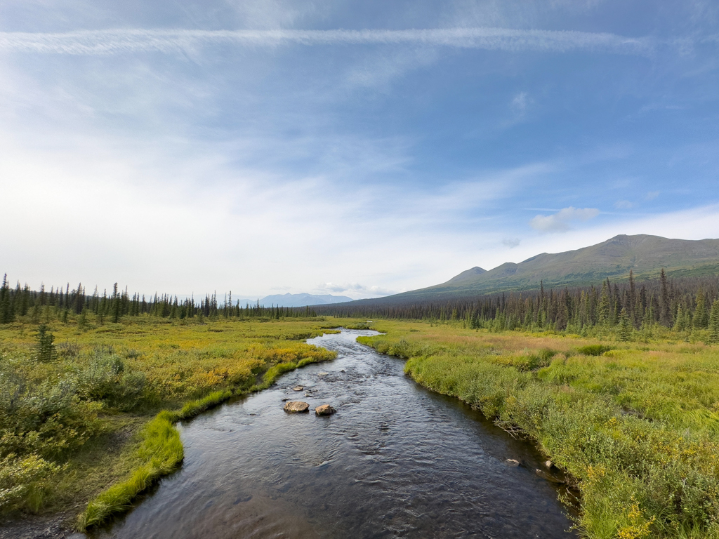 Blick auf den Oscar Creek auf dem Denali HW