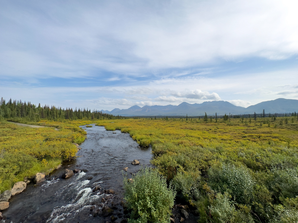 Blick auf den Oscar Creek auf dem Denali HW