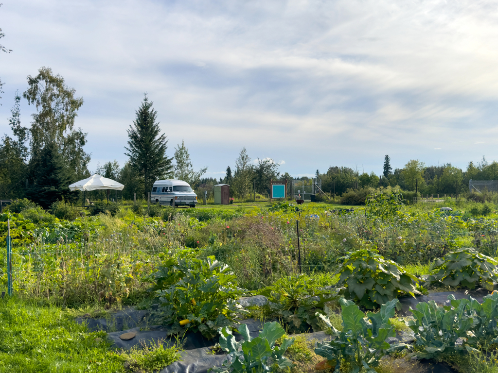 Unser Übernachtungsplatz: Community Garden, Fairbanks