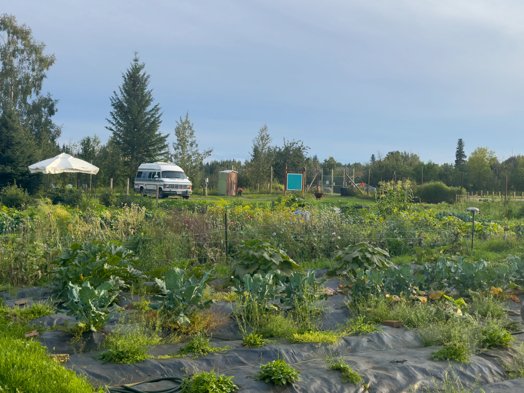 Unser Übernachtungsplatz: Community Garden, Fairbanks