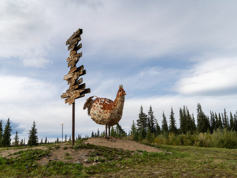 "Chicken" wird hier zelebriert