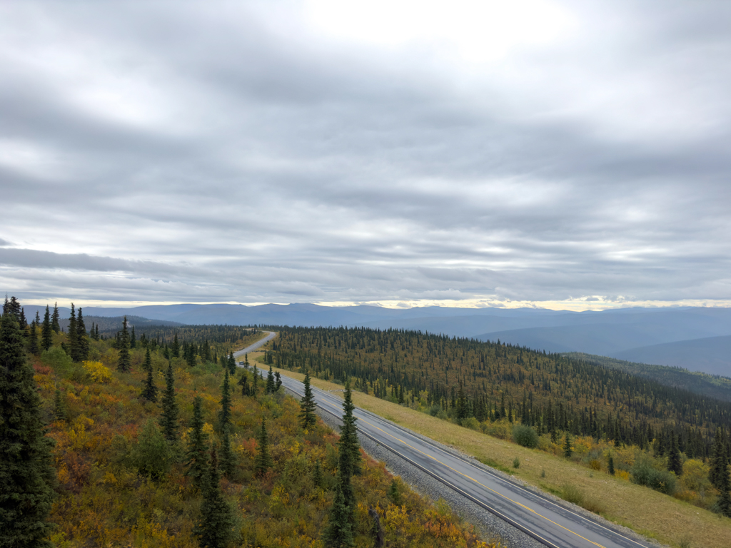 Top of the World Highway - hier werden die Laubbäume und -büsche schon farbig