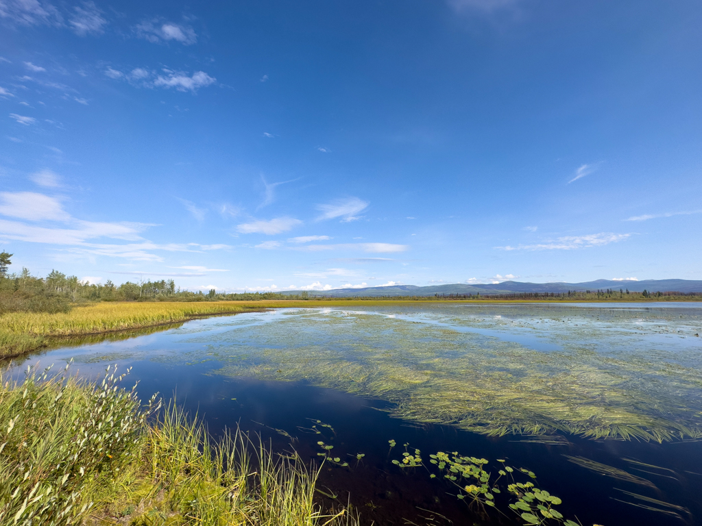 Der relativ seichte Gravel Lake