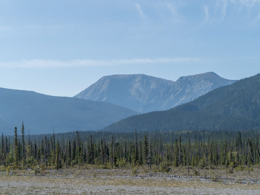 Wald und Berge etwas südlich des Muncho Lakes