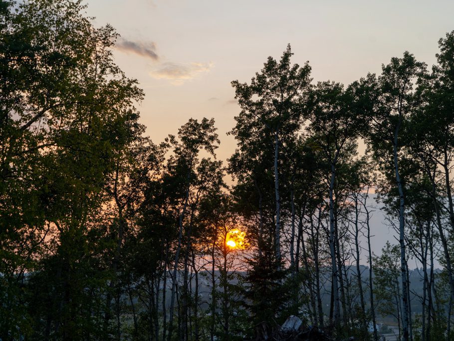 Sonnenuntergang hinter dem Espenwald