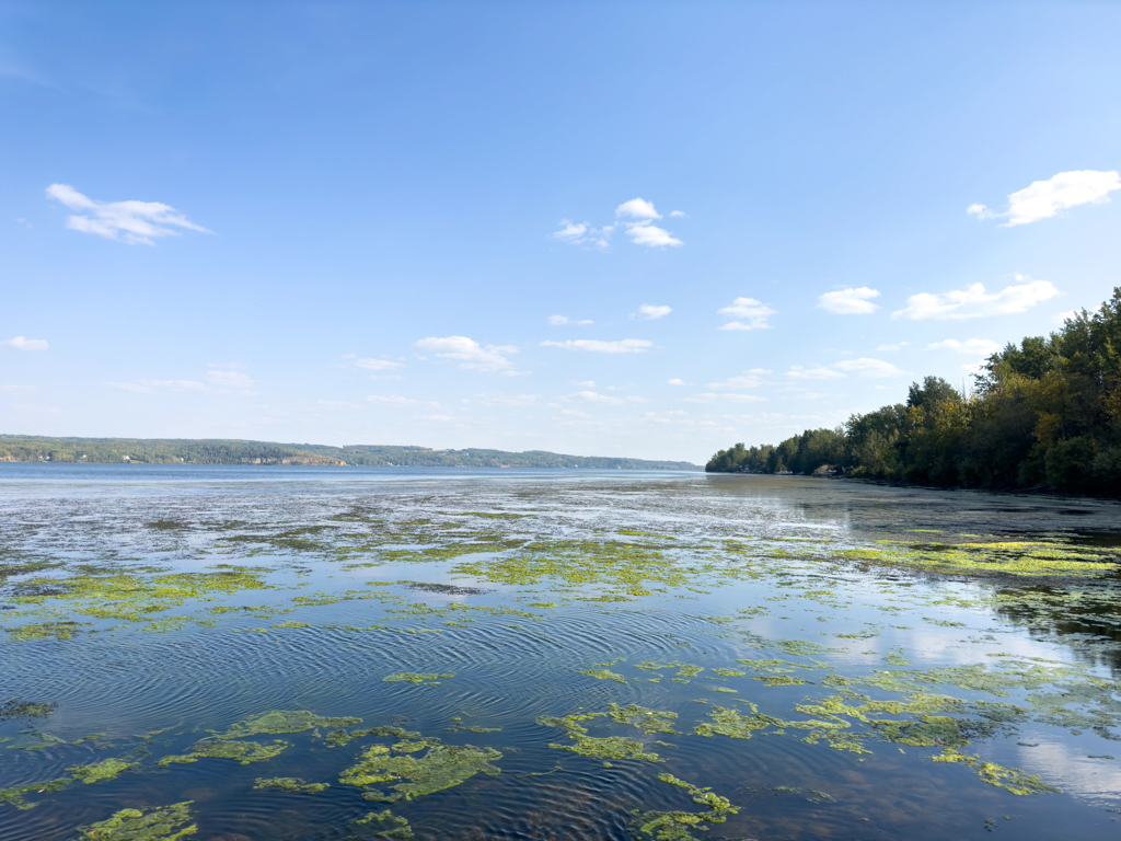 Charlie Lake