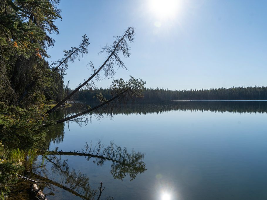 Morgenstimmung am Desjarlais Lake