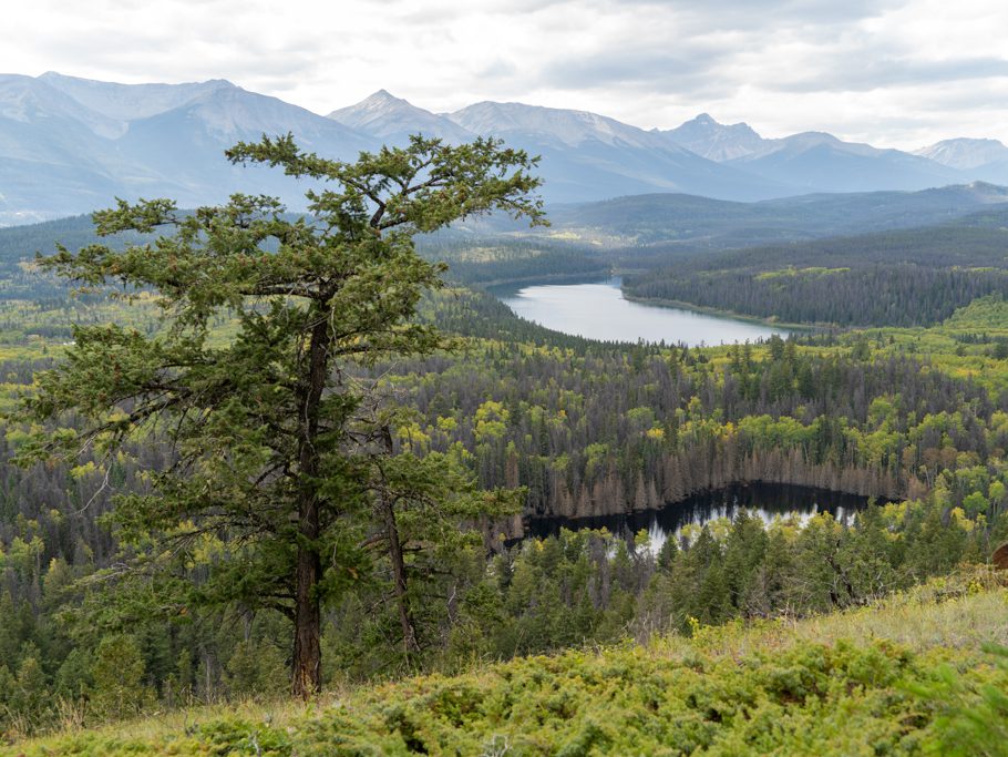 Aussicht vom Overlook Loop Trail auf Patricia Lake und den kleinen, schwarzen No-Name See