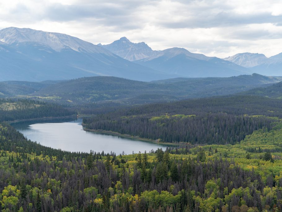 Patricia Lake, Jasper