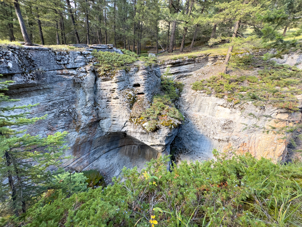 Maligne Canyon