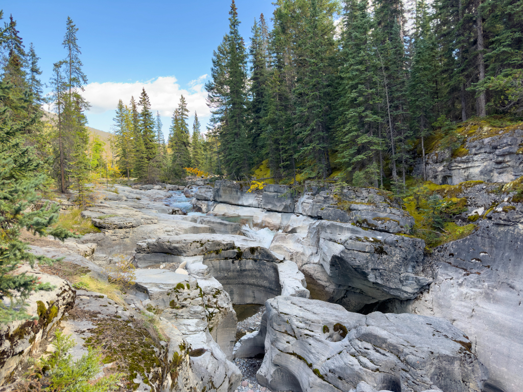 Maligne Creek, kurz bevor er in den Canyon hinunter fliesst