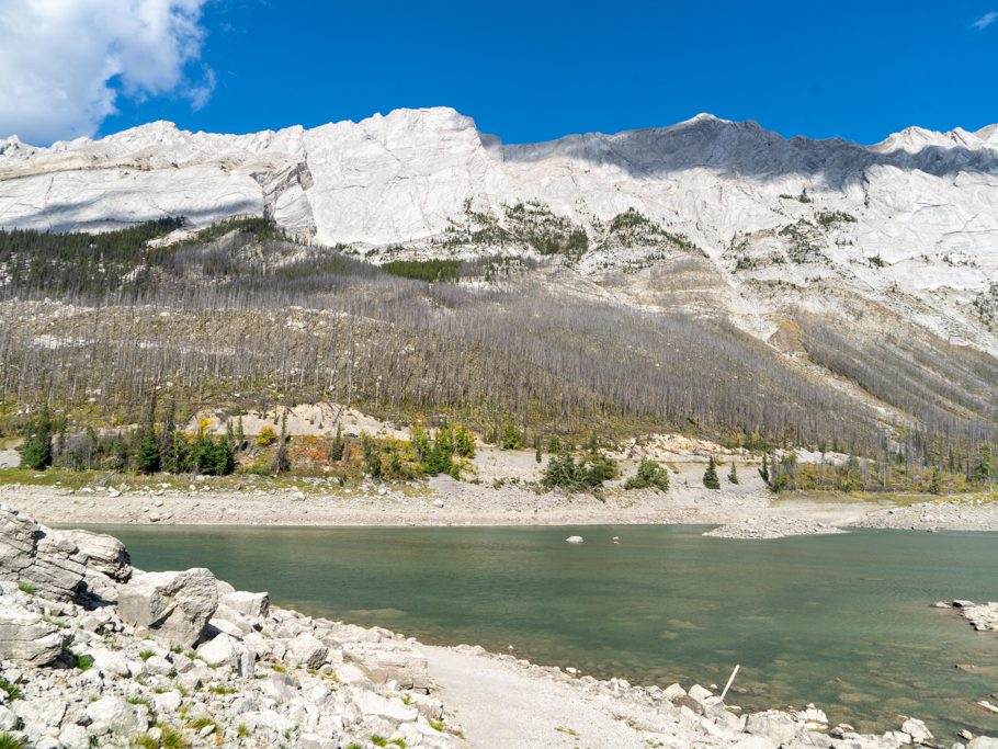 Medicine Lake und Bergflanke mit abgebranntem Wald