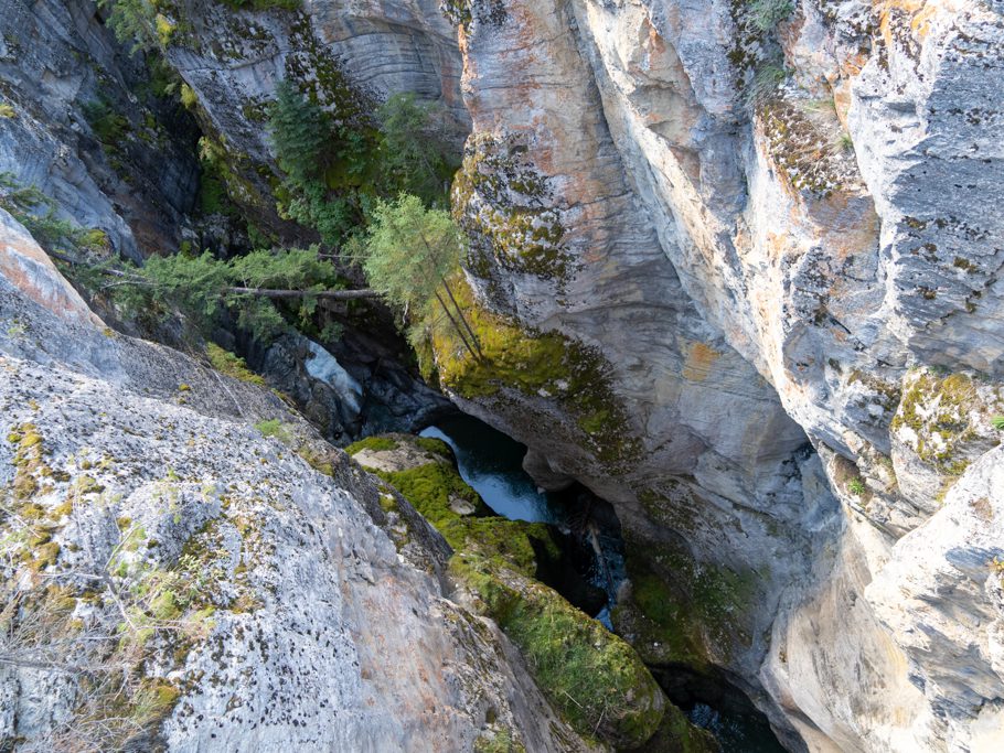 Maligne Canyon