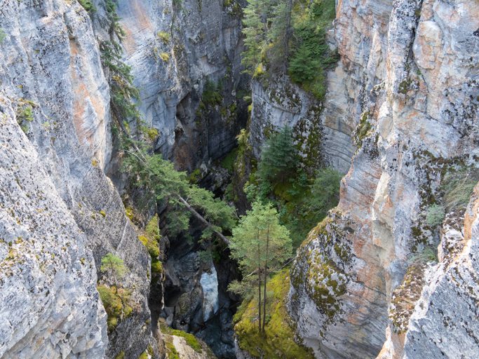 Maligne Canyon