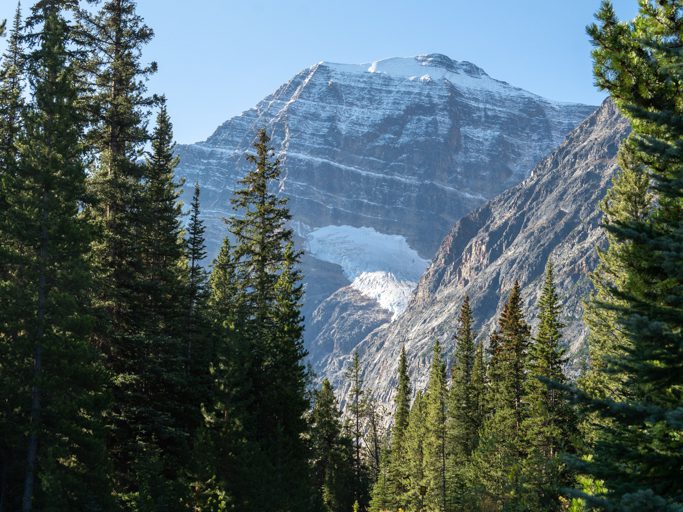 Durch den Banff NP zum Clavell Gletscher