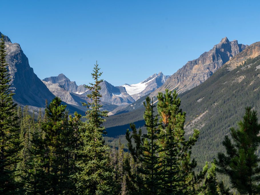 Durch den Banff NP zum Clavell Gletscher