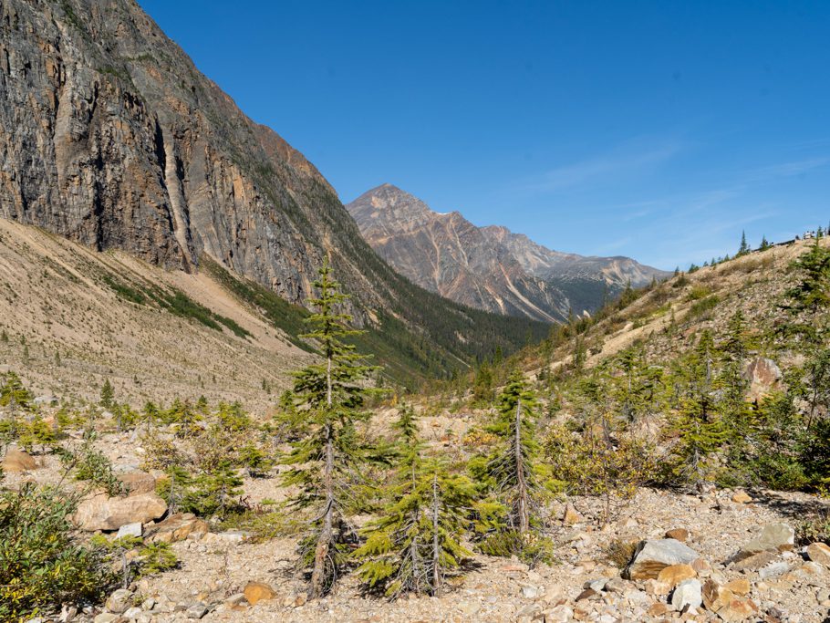 Blick ins Tal weiter des Clavell Gletschers entlang