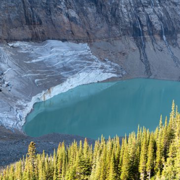 Wanderung zum Clavell Gletscher & Icefields Parkway