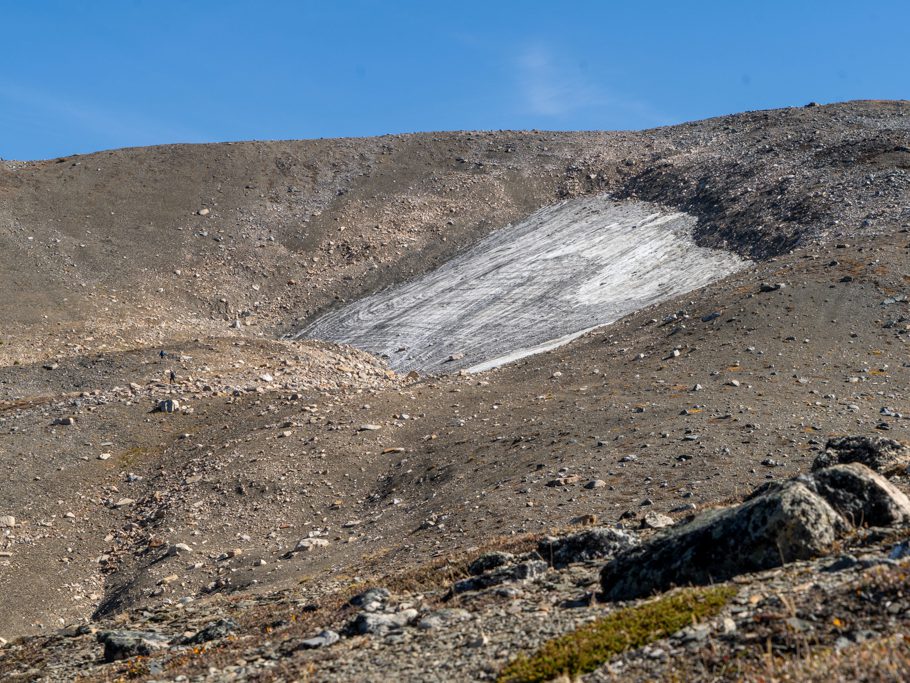Eisfeld gegenüber vom Clavell Gletscher
