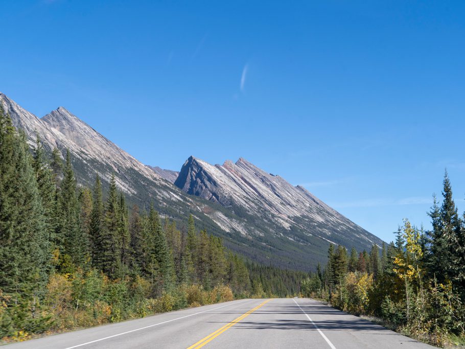 Fahrt durch den Banff NP zum Clavell Gletscher