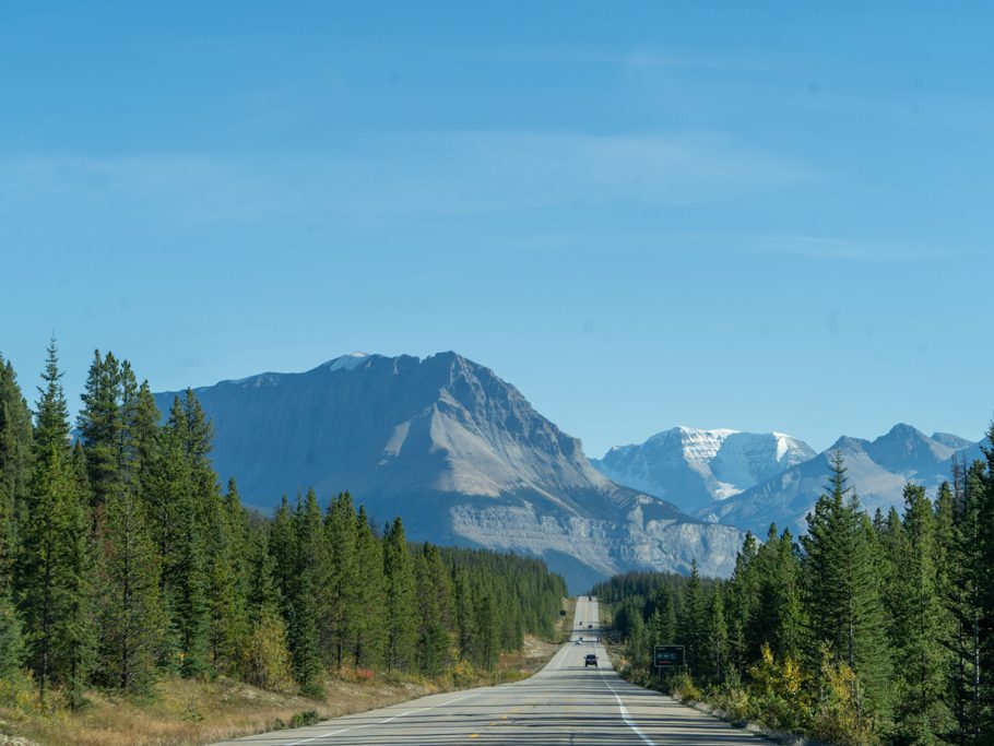Fahrt durch den Banff NP zum Clavell Gletscher