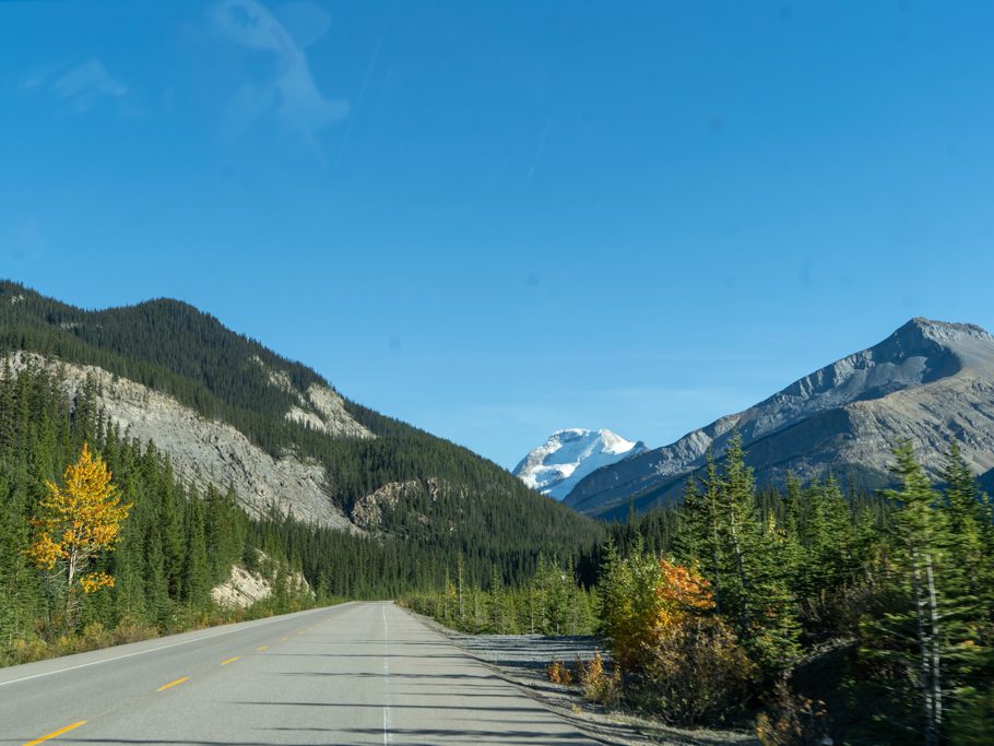 Fahrt durch den Banff NP zum Clavell Gletscher