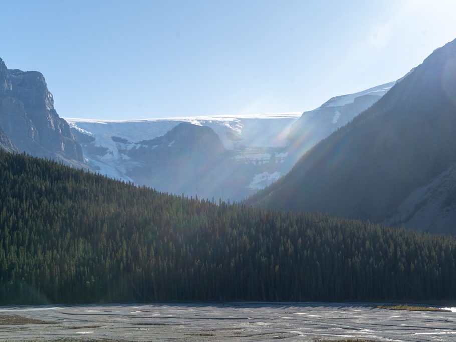 Fahrt durch den Banff NP zum Clavell Gletsche