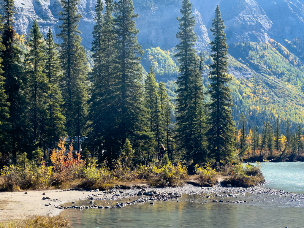 Zmittag im Rapard Creek am North Saskatchewan River