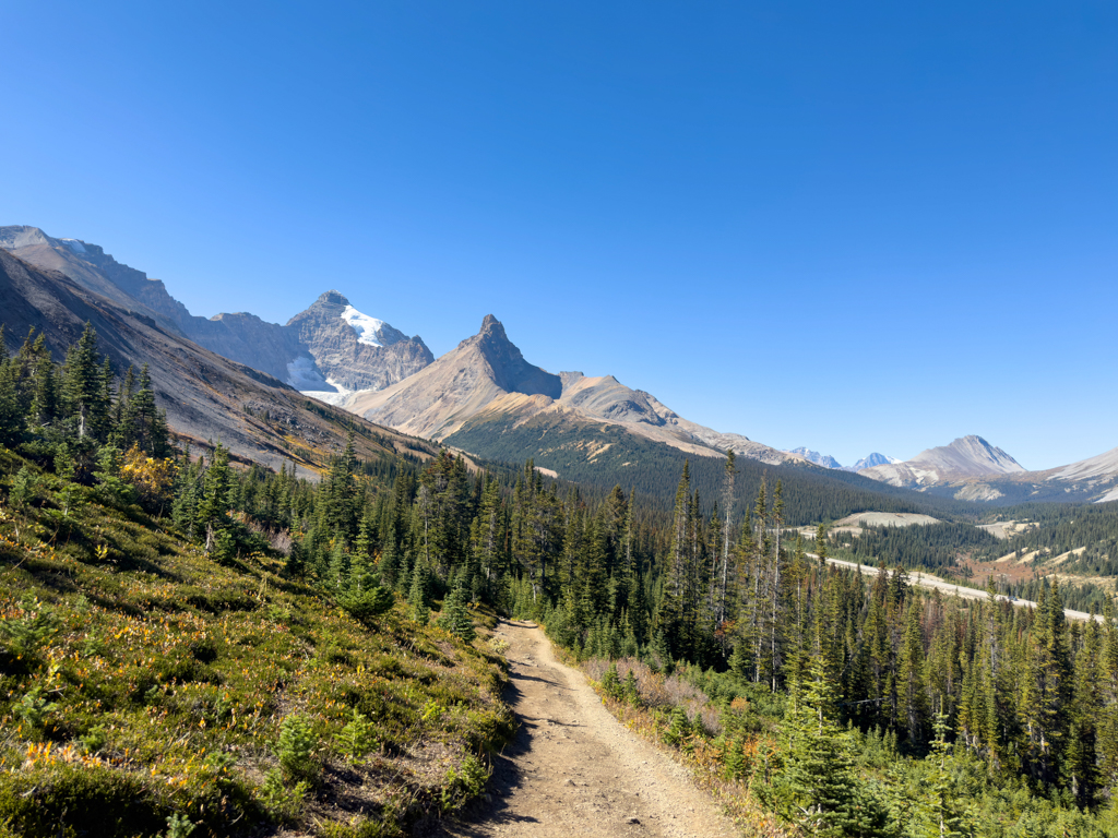 Wanderung zum Clavell Gletscher