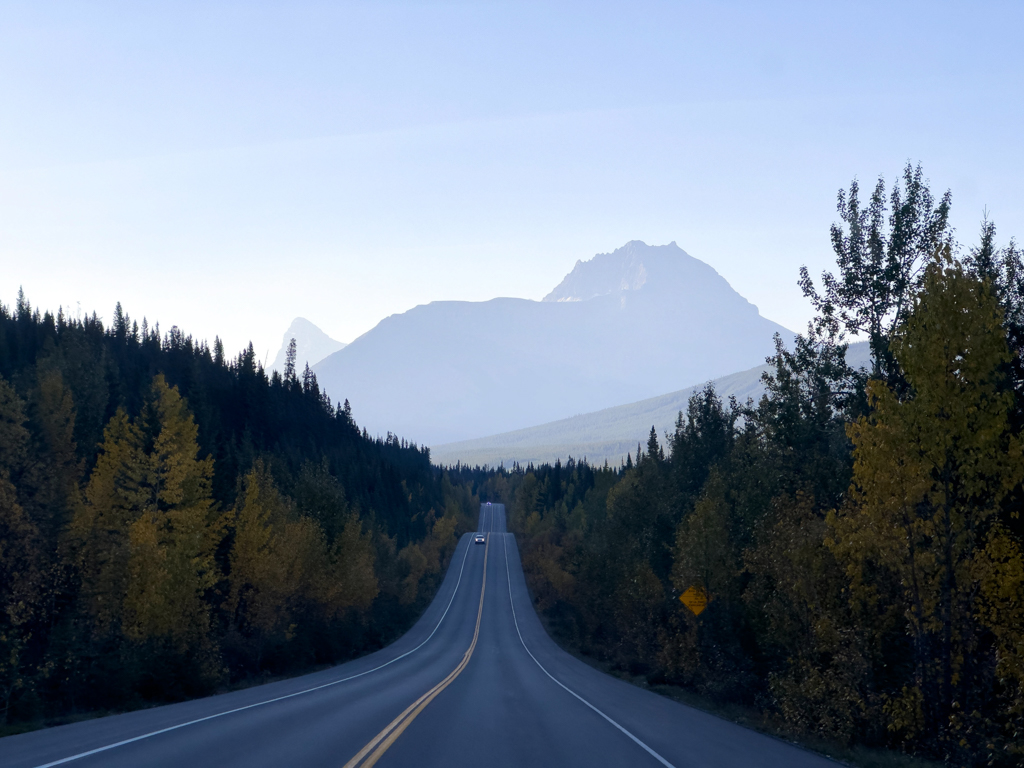 Fahrt auf dem Icefields Parkway im Banff NP