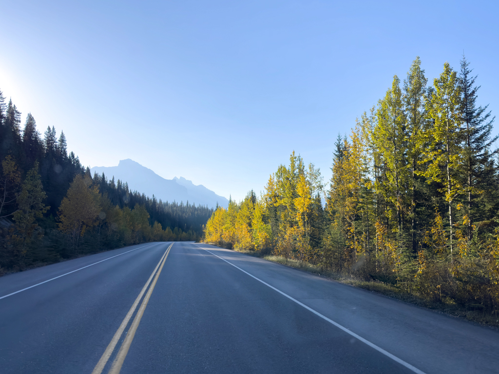 Morgentliche Fahrt auf dem Icefields Parkway durch den Banff NP