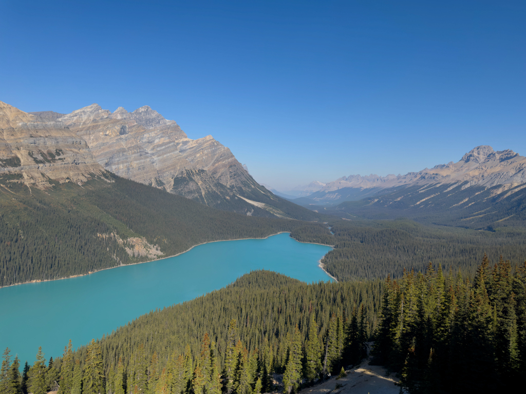 Blick auf den türkisfarbenen Peyto Lake