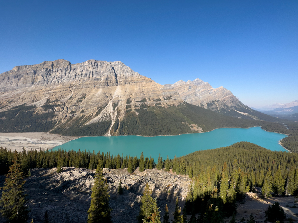 Panoramablick auf den türkisfarbenen Peyto Lake