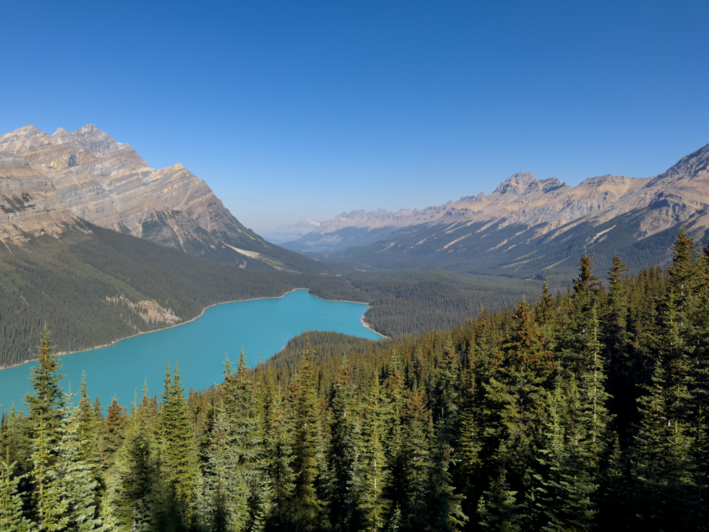 Panoramablick auf den türkisfarbenen Peyto Lake