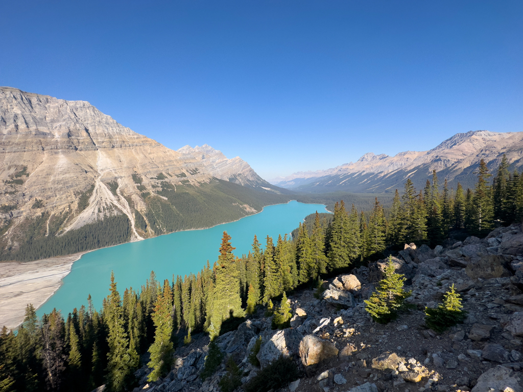 Panoramablick auf Peyto Lake