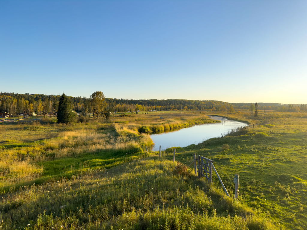 Abend am Country House Campground mit Blick auf das Bisongehege