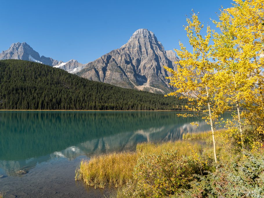 Rast am Water Fowl Lake