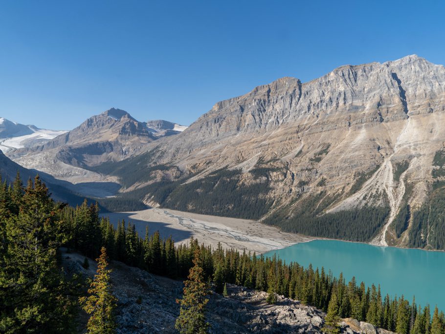 Bergpanorama mit Zufluss zum Peyto Lake