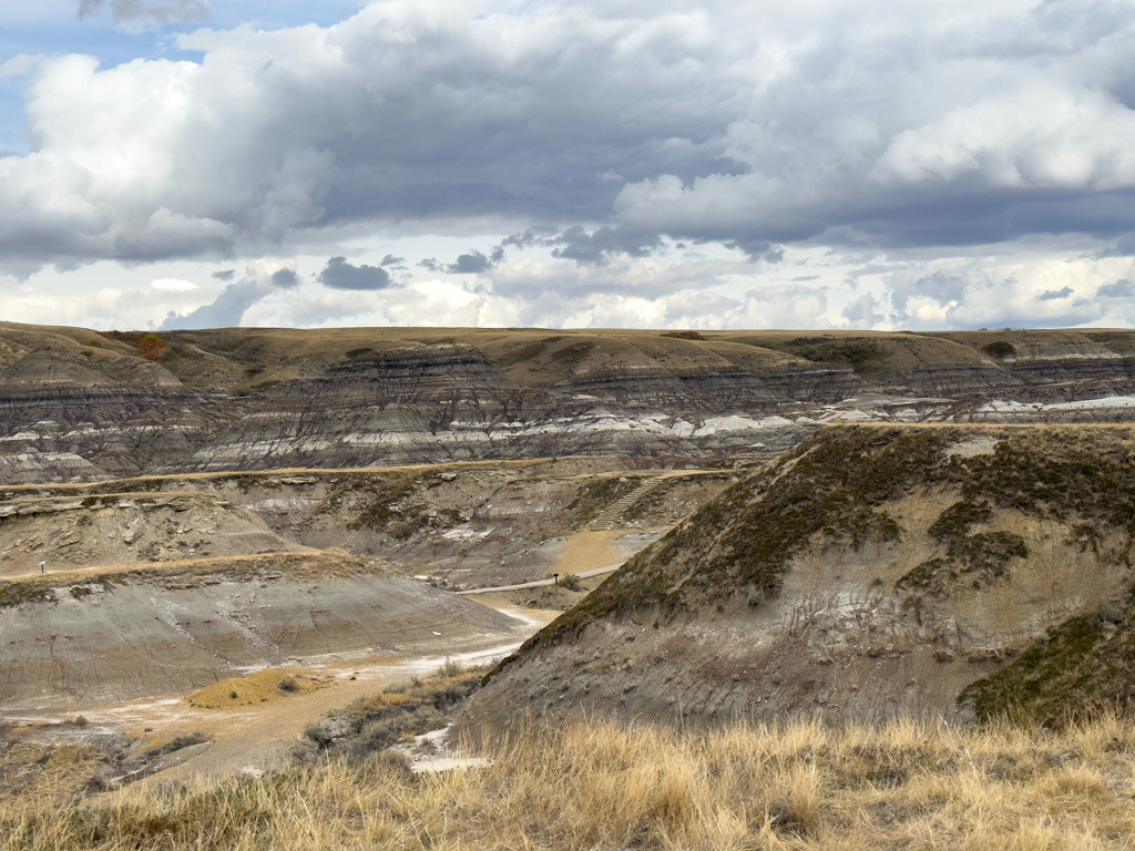 Badlands um das Royal Tyrell Museum in Drumheller